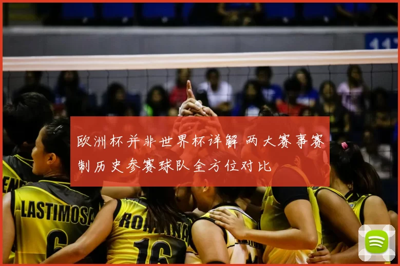 欧洲杯并非世界杯详解 两大赛事赛制历史参赛球队全方位对比